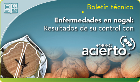 Enfermedades en nogal: Resultados de su control con Acierto 140 EC