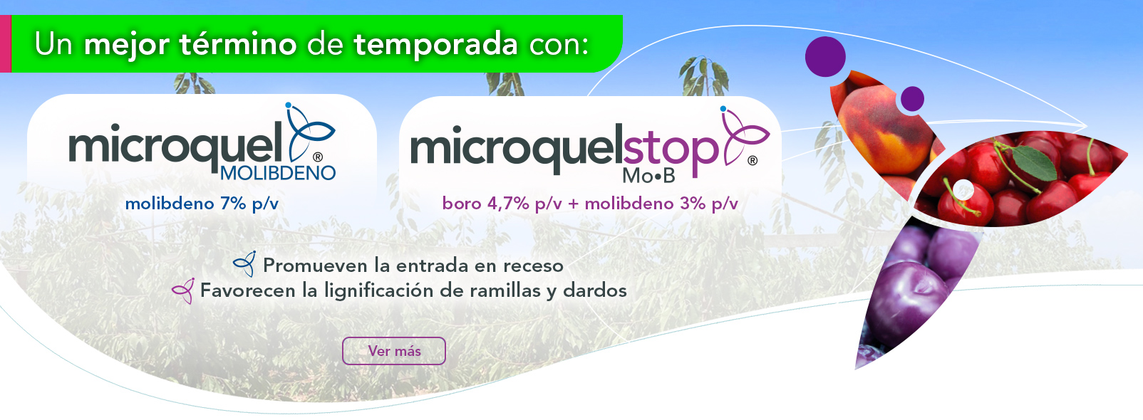 Microquel® Molibdeno