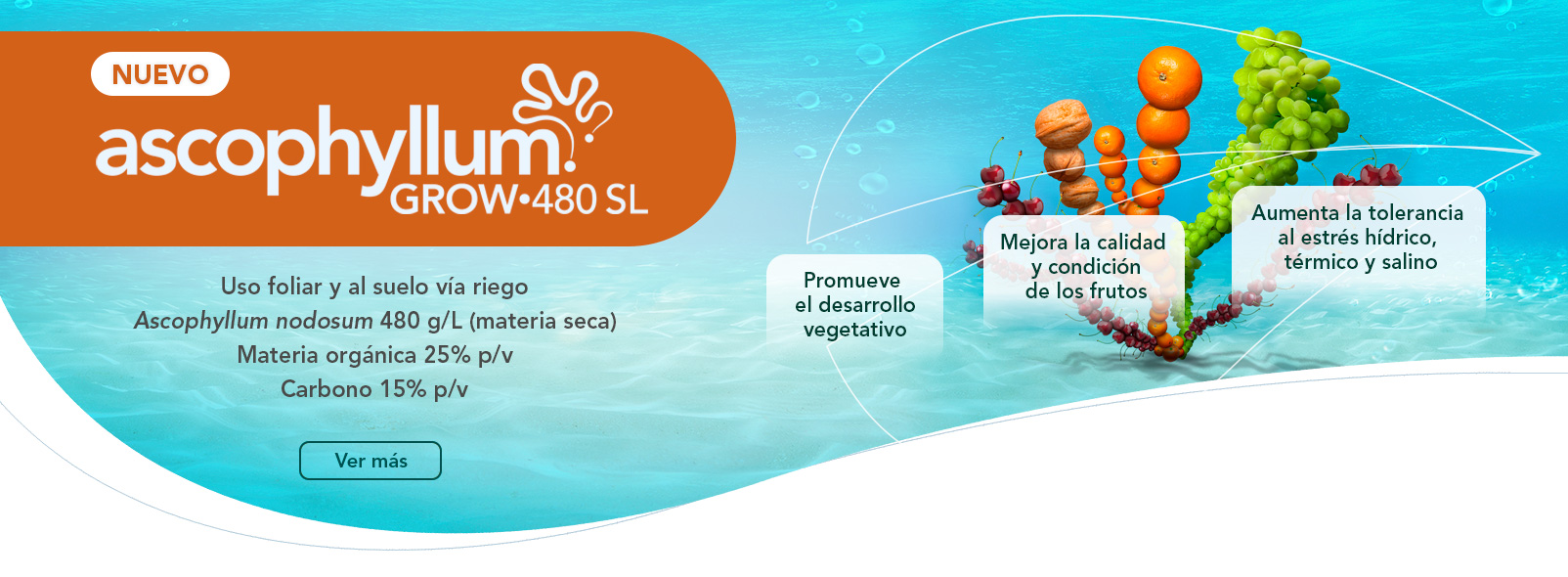Ascophyllum Grow•480 SL