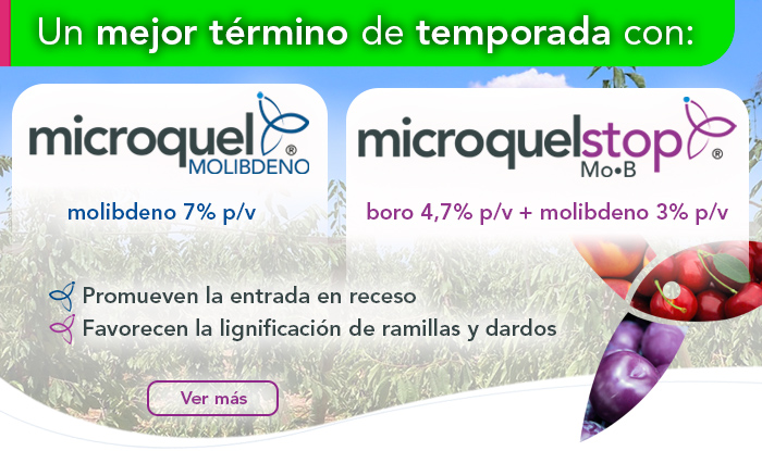 Microquel® Molibdeno