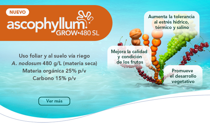 Ascophyllum Grow•480 SL