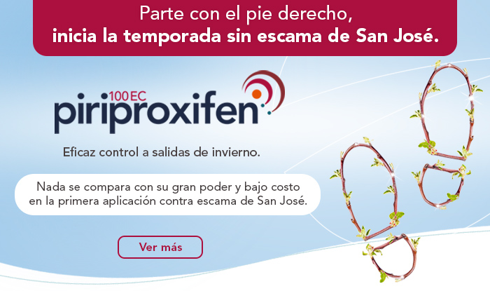 Piriproxifen 100 EC