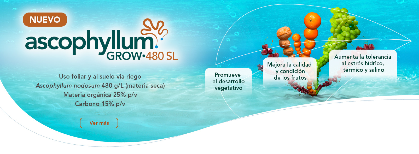 Ascophyllum Grow•480 SL