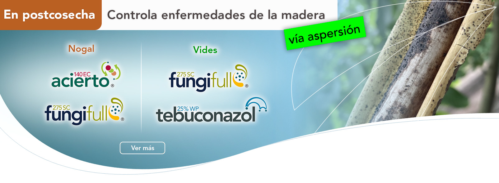 Enfermedades de la madera
