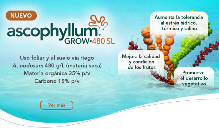 Ascophyllum Grow•480 SL