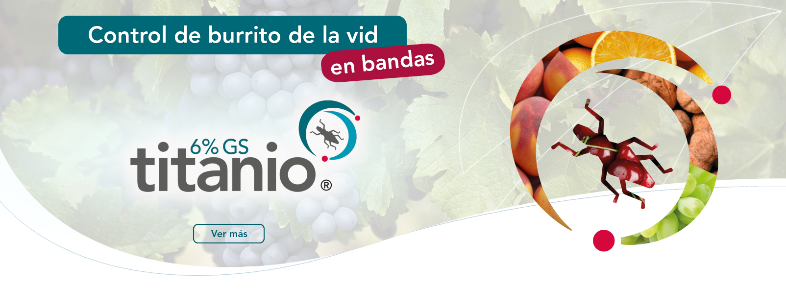 Titanio® 6% GS
