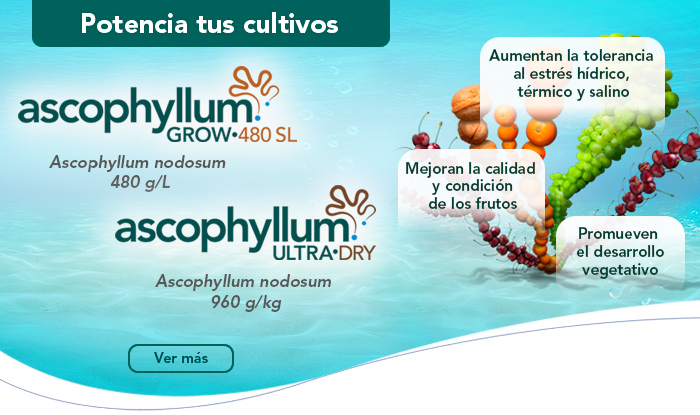 Ascophyllum Grow•480 SL