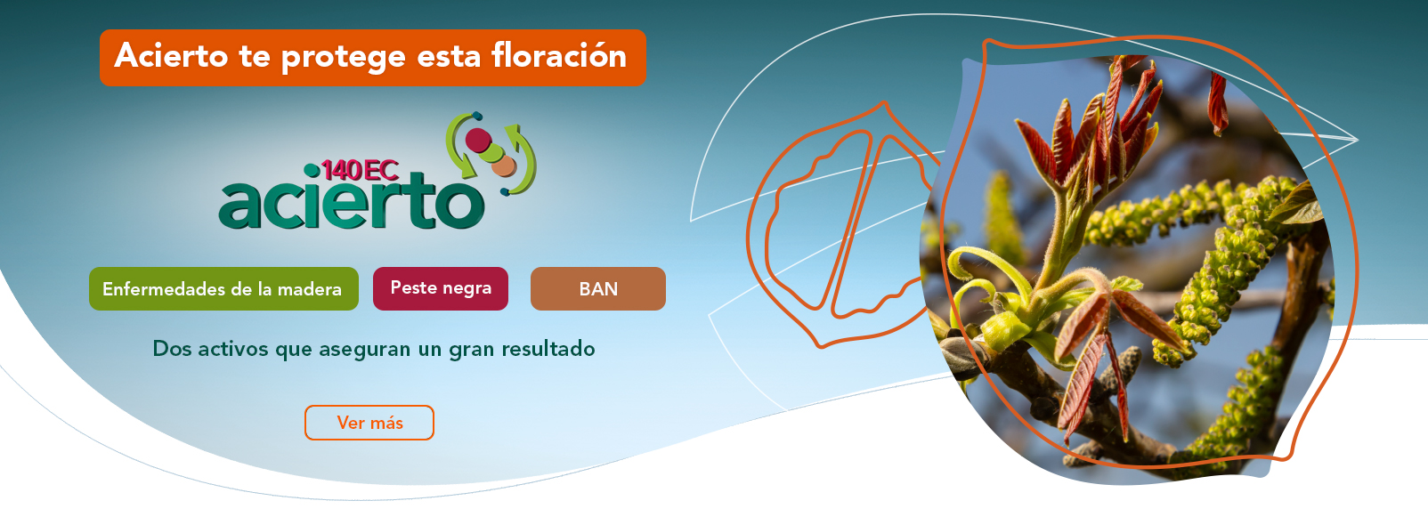 Acierto 140 EC®