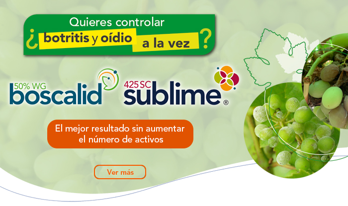 Sublime® 425 SC