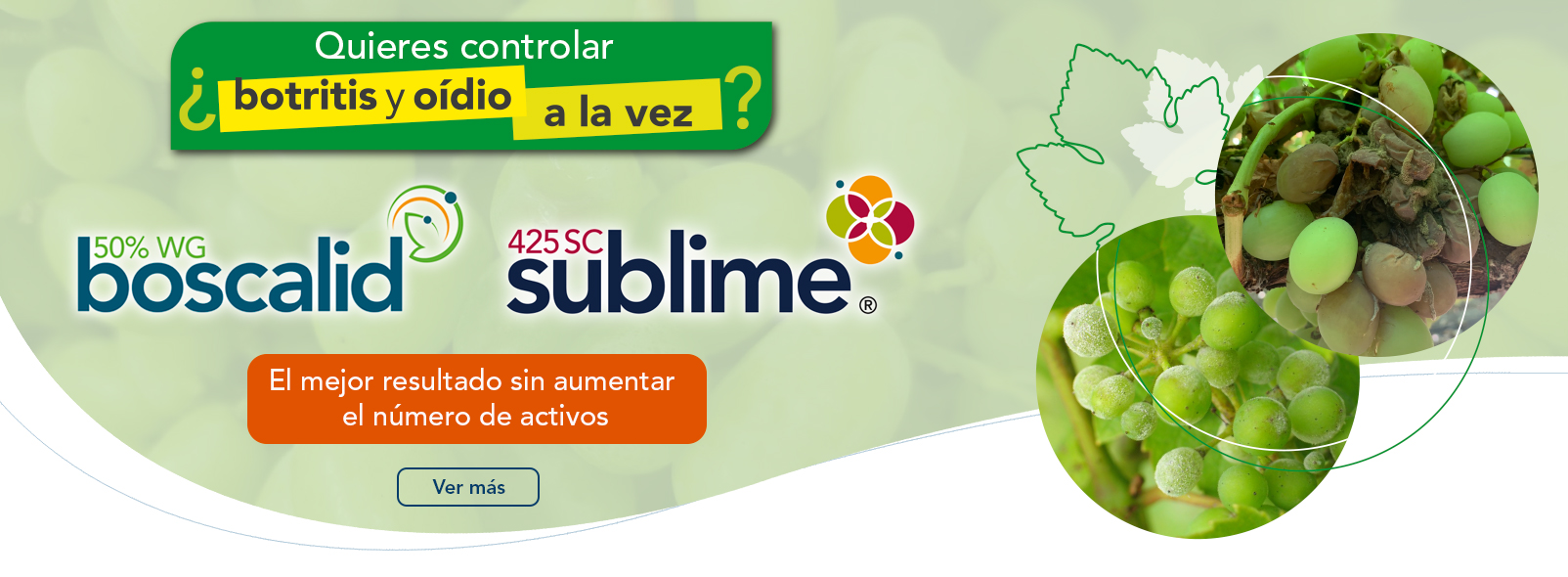 Sublime® 425 SC