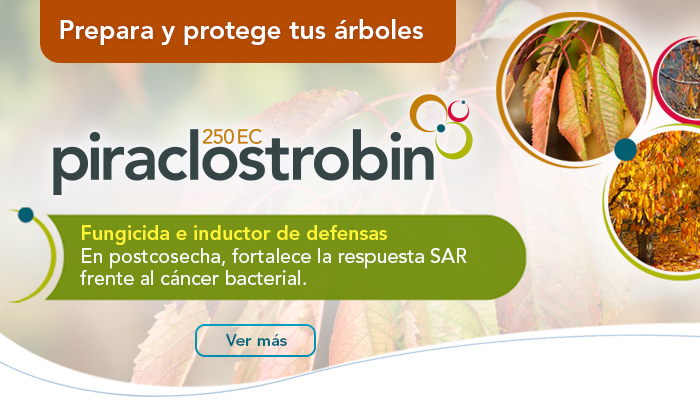 Piraclostrobin 250 EC