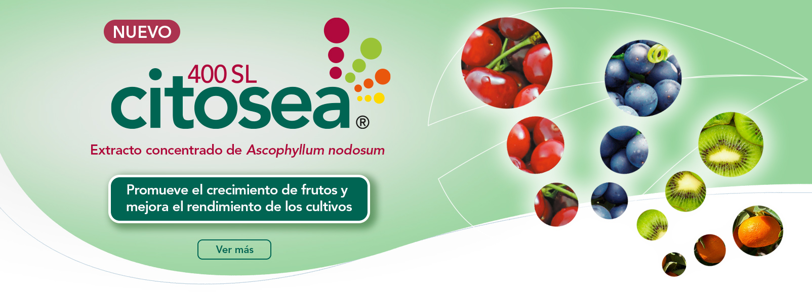 Citosea 400 SL®