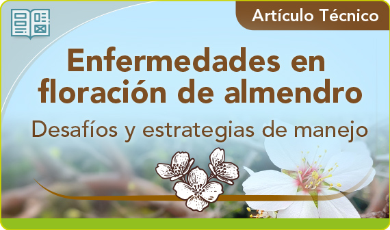 Enfermedades en floración de almendros: Desafíos y estrategias de manejo