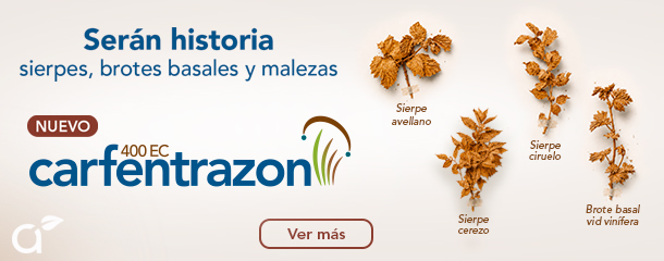 Carfentrazon 400 EC
