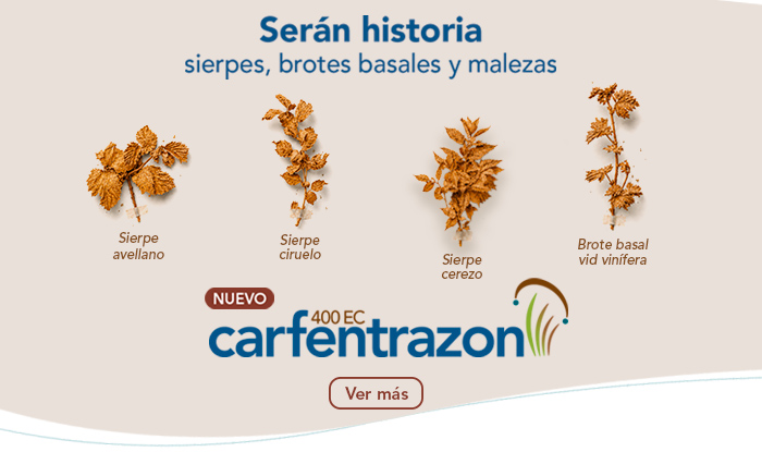 Carfentrazon 400 EC
