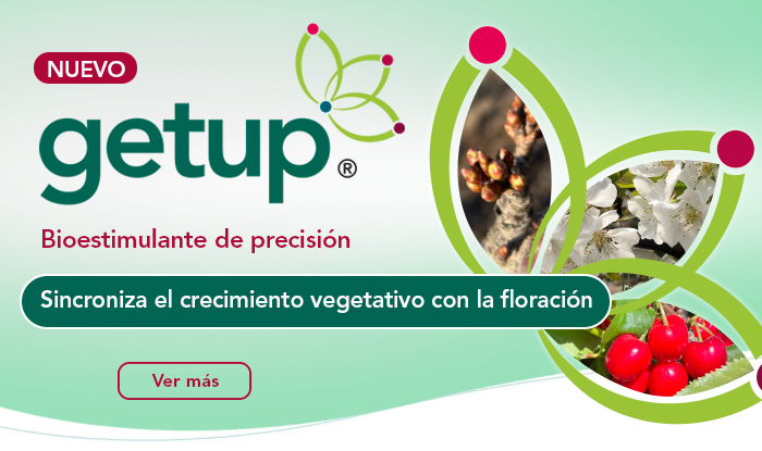 Getup®
