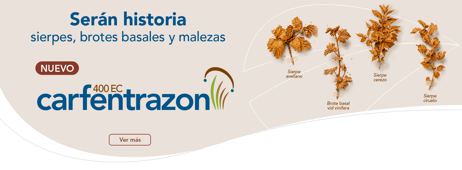 Carfentrazon 400 EC