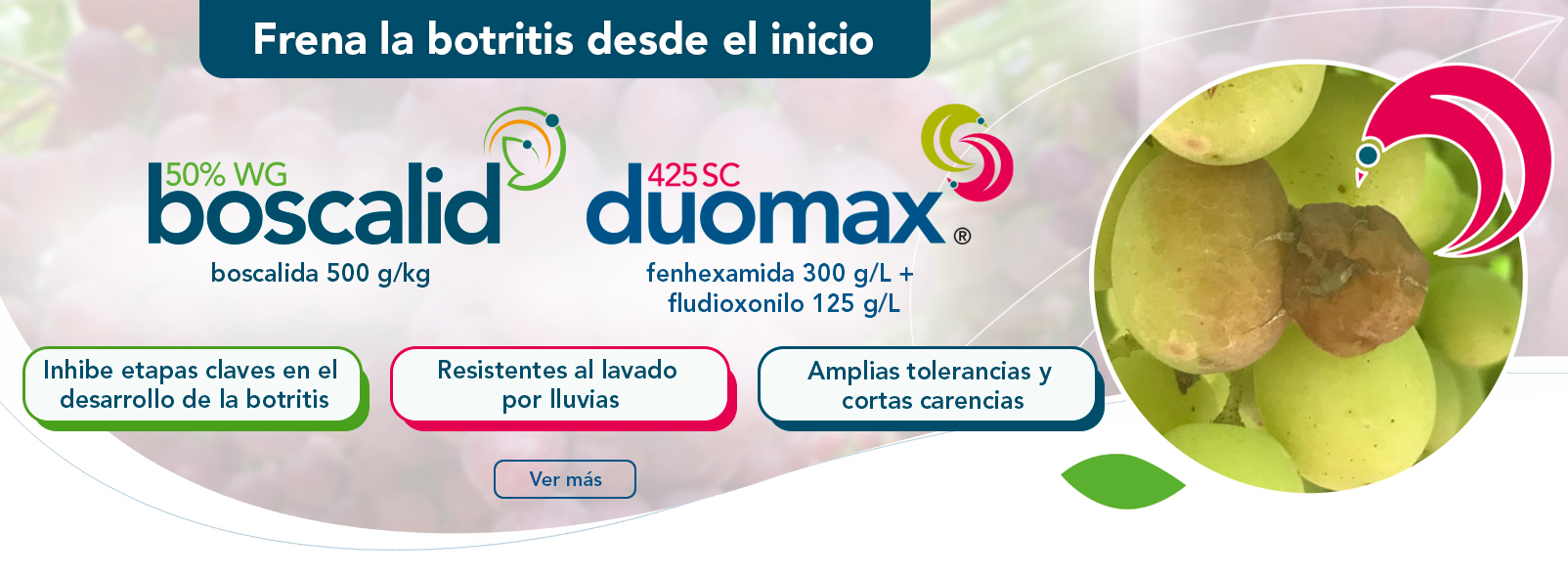 Duomax 425 SC®