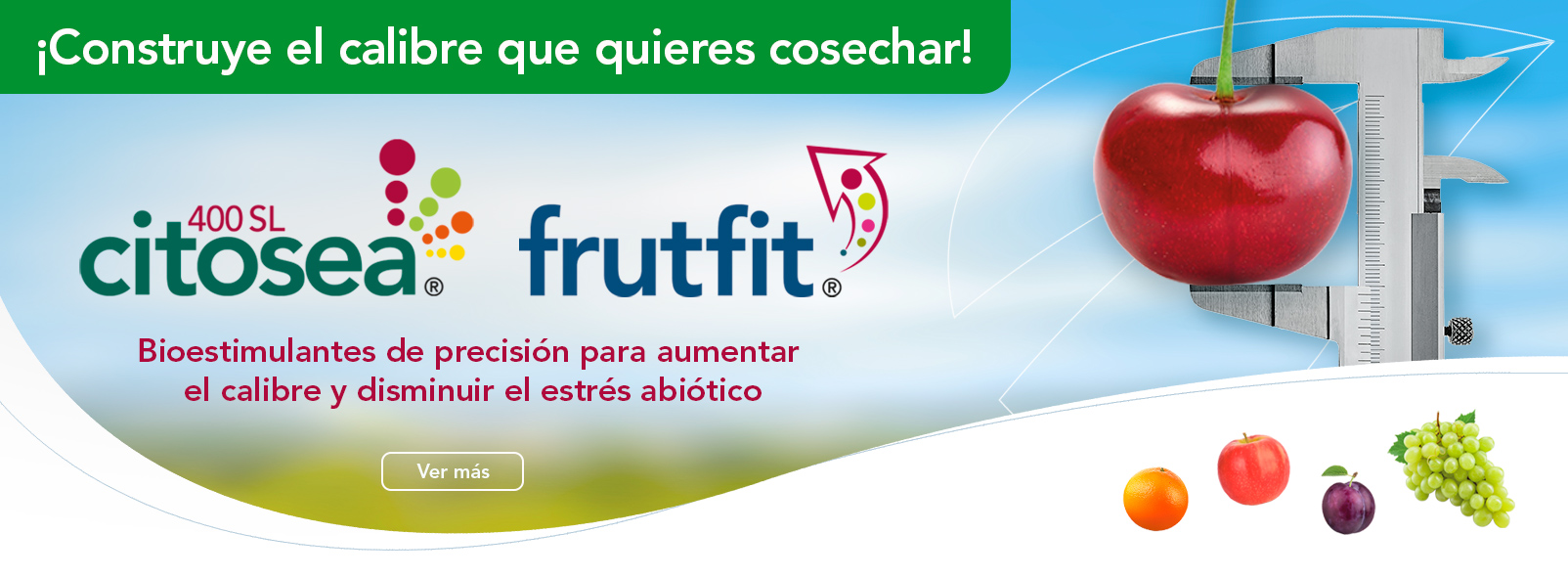 Citosea 400 SL®