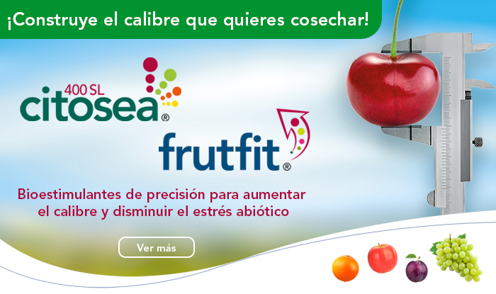Citosea 400 SL®